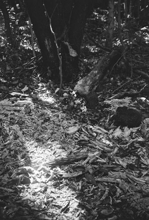 예술인 관련 사진 6