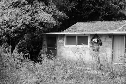 예술인 관련 사진 1