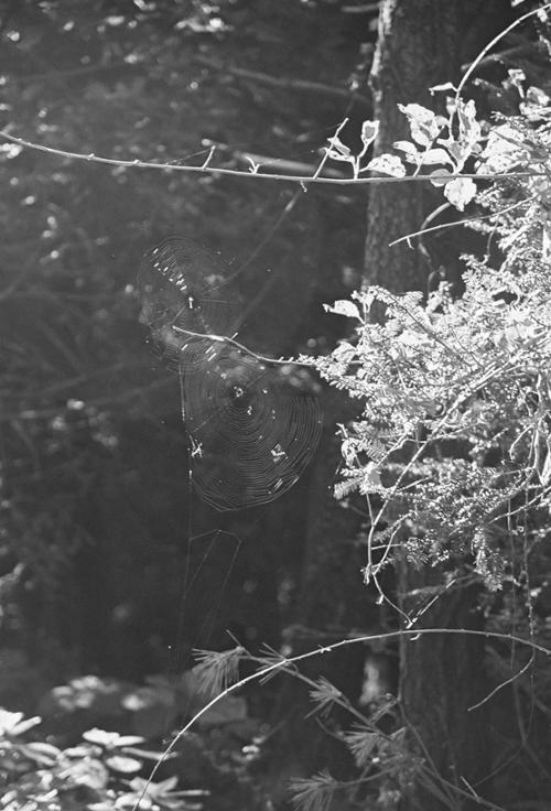 예술인 관련 사진 3