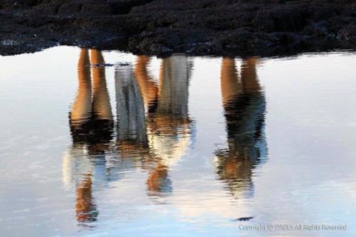 예술인 관련 사진 1