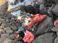 예술인 관련 사진 5