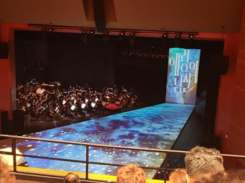 예술인 관련 사진 12