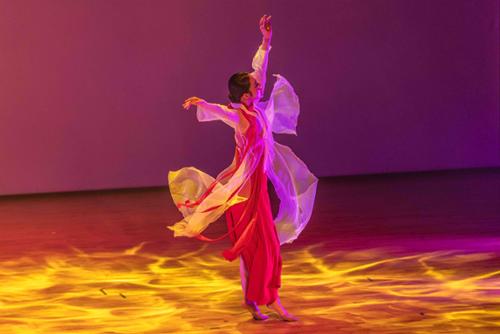 예술인 관련 사진 3