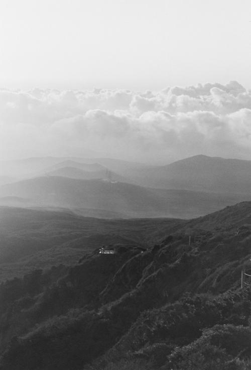 예술인 관련 사진 8