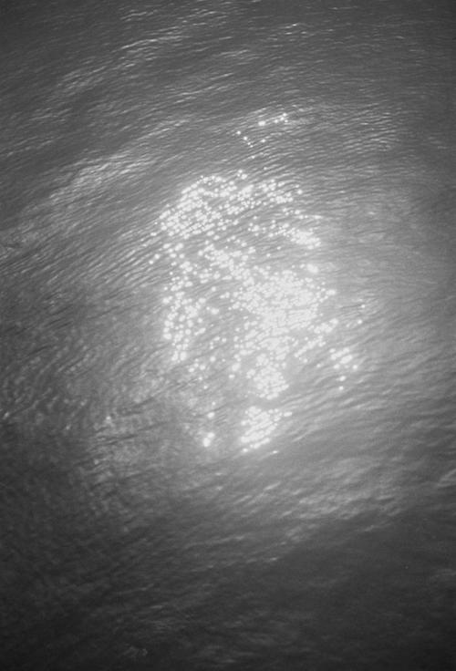 예술인 관련 사진 2