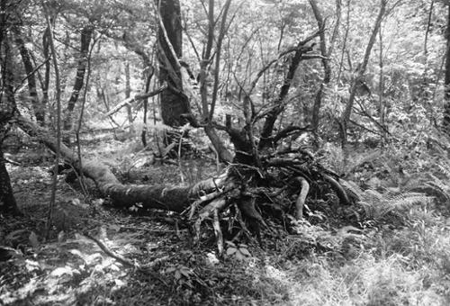 예술인 관련 사진 5