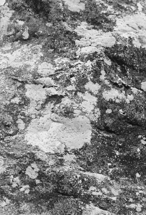 예술인 관련 사진 9