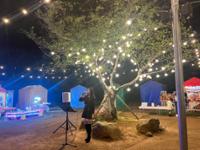 예술인 관련 사진 3