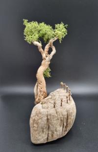 예술인 관련 사진 7