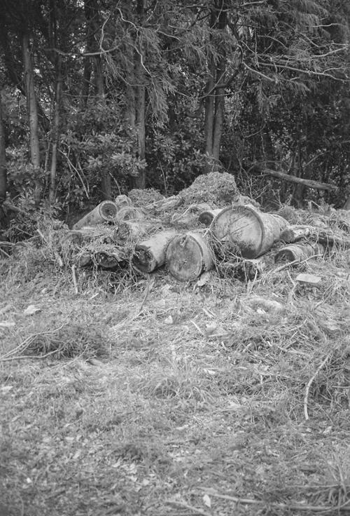 예술인 관련 사진 10