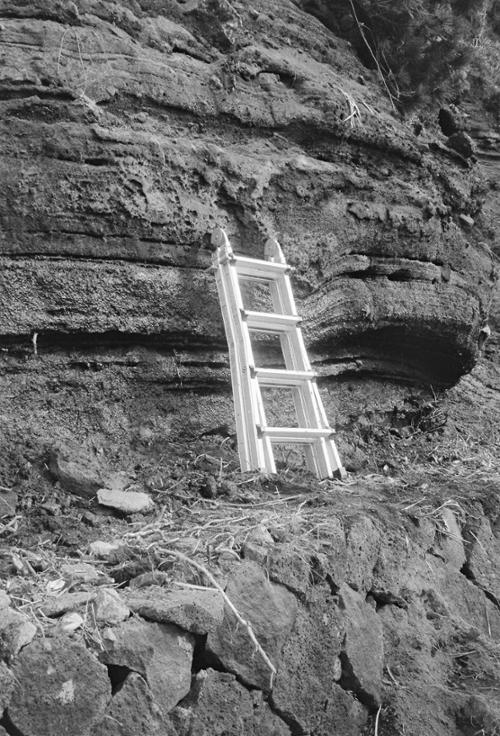 예술인 관련 사진 7