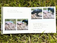 행사 관련 사진 9