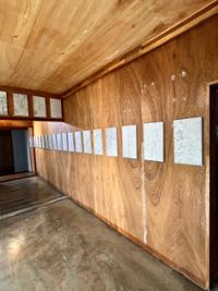 행사 관련 사진 6