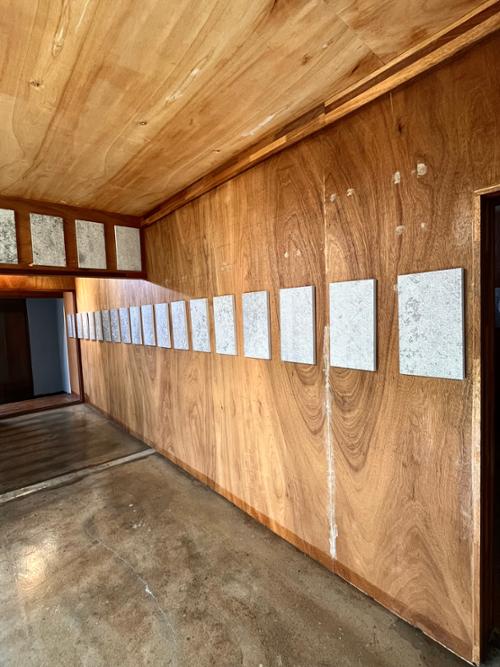 행사 관련 사진 6