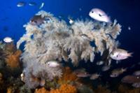 행사 관련 사진 1