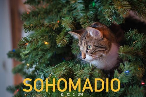 행사 관련 사진 2