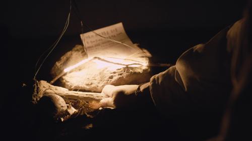 행사 관련 사진 3