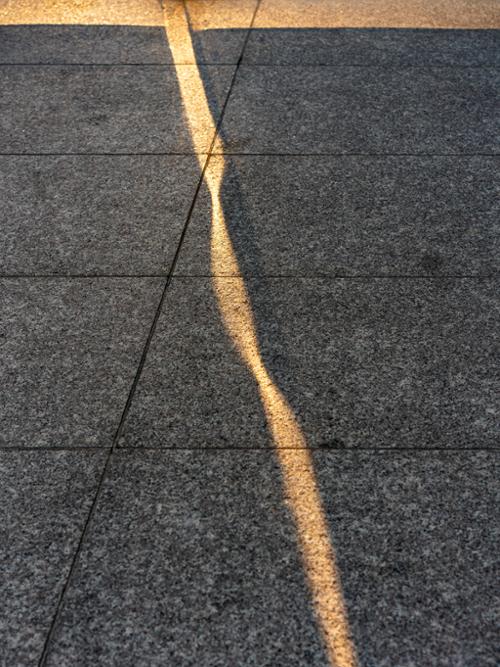 행사 관련 사진 2