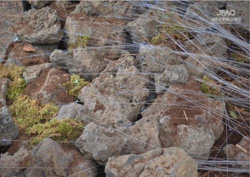 행사 관련 사진 5