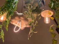 행사 관련 사진 2