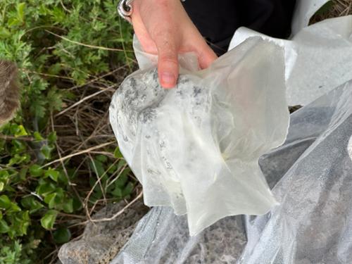 행사 관련 사진 6