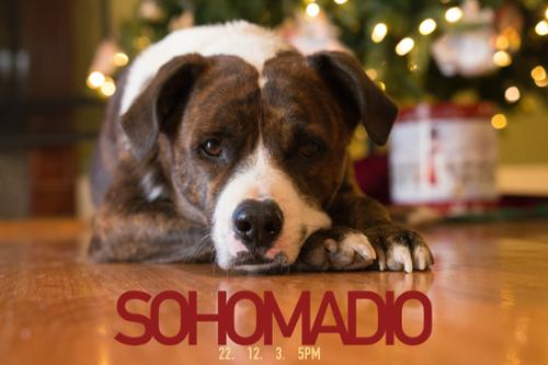 행사 관련 사진 3