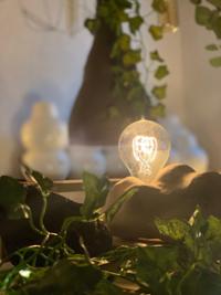 행사 관련 사진 1