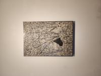 행사 관련 사진 3