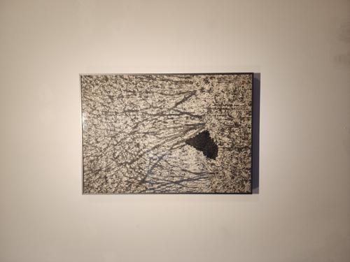 행사 관련 사진 3