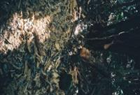 행사 관련 사진 4