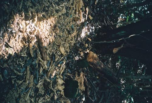 행사 관련 사진 4