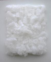 행사 관련 사진 6