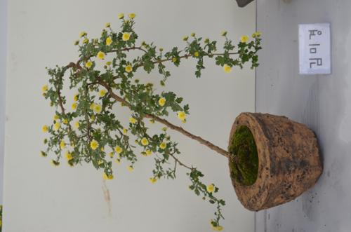 행사 관련 사진 15