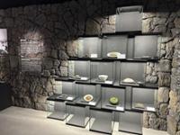 행사 관련 사진 5