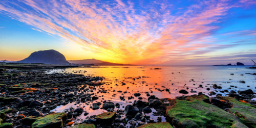 행사 관련 사진 9