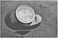 행사 관련 사진 1