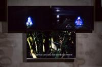 행사 관련 사진 4