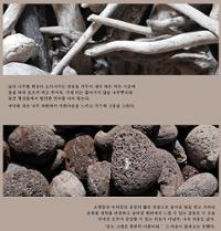 행사 관련 사진 2