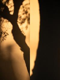 행사 관련 사진 3