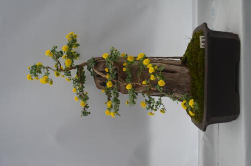 행사 관련 사진 12