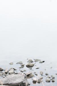 행사 관련 사진 3