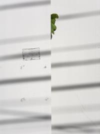 행사 관련 사진 1