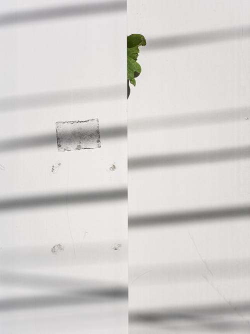 행사 관련 사진 1