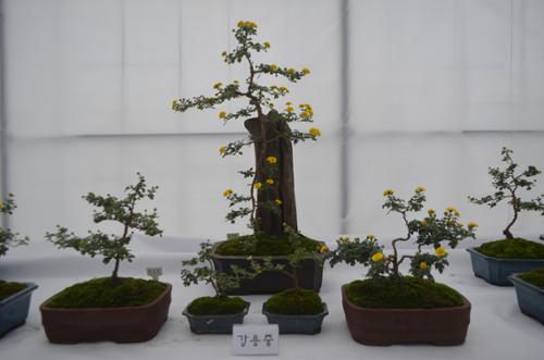 행사 관련 사진 10