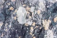 행사 관련 사진 3