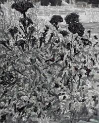 행사 관련 사진 9