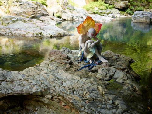 행사 관련 사진 3