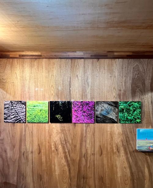 행사 관련 사진 10