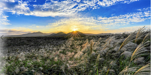 행사 관련 사진 8