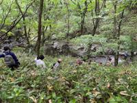 행사 관련 사진 6